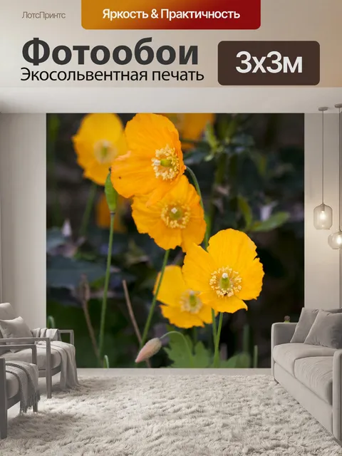 Фотообои Оранжевые цветы мака