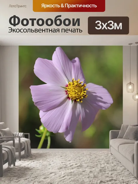 Фотообои Космос