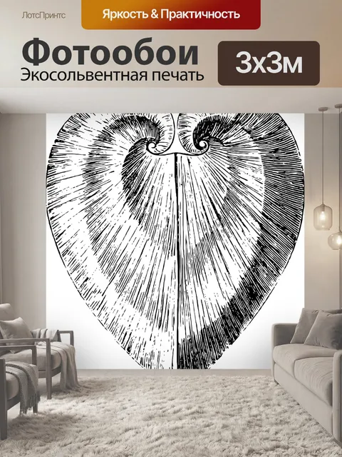 Фотообои Набросок