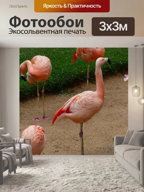 Фотообои Фламинго