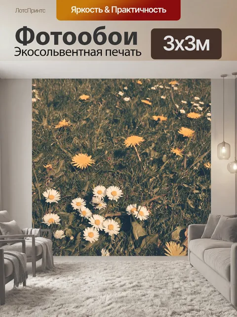 Фотообои Ромашки и одуванчики