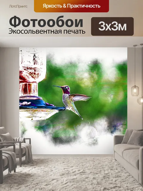 Фотообои Колибри на кормушке