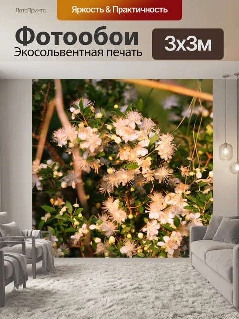 Фотообои мирт цветы дерева