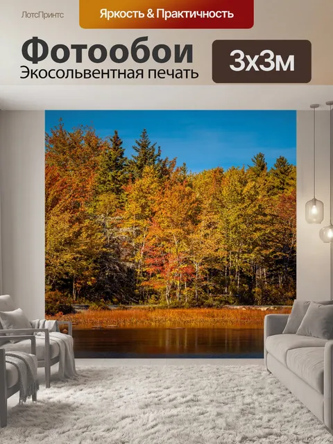 Фотообои лес и река осенью