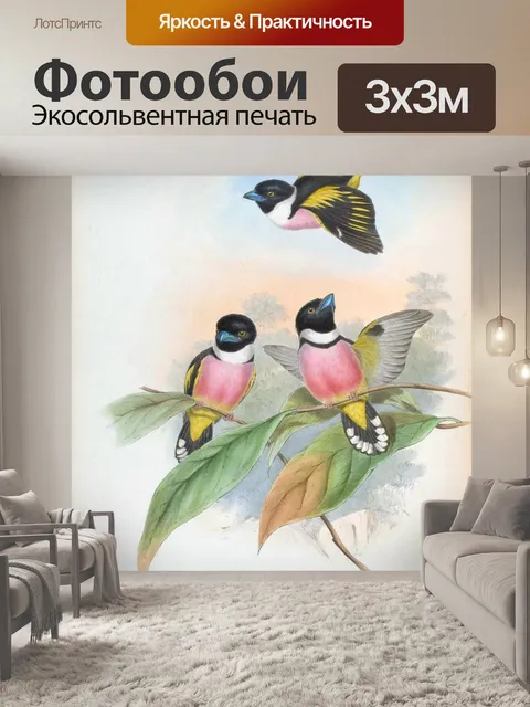 Фотообои Винтажное искусство птицы старое