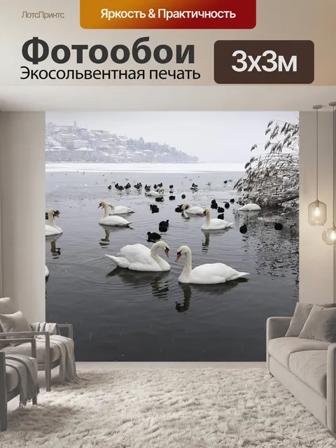 Фотообои Лебеди