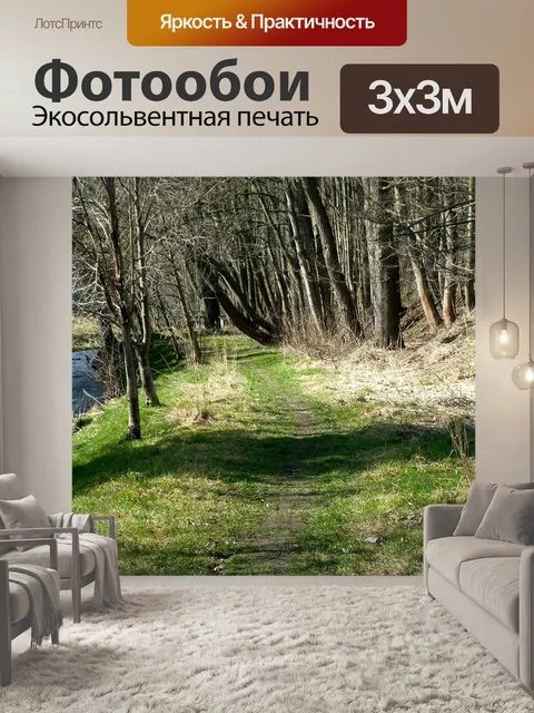 Фотообои Лес