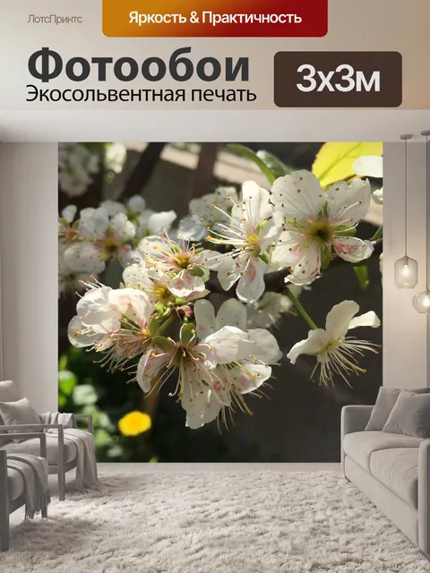Фотообои Вишни в цвету