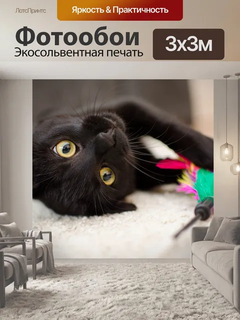 Фотообои Кошка