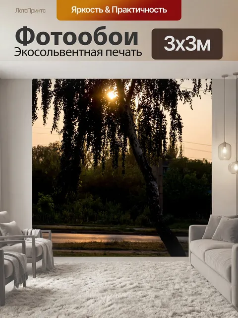 Фотообои Береза