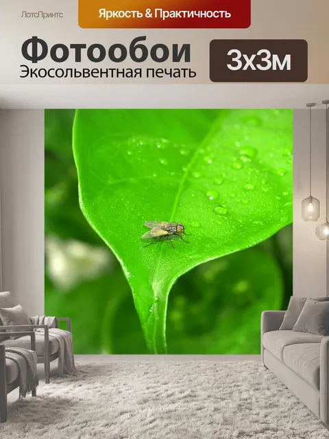 Фотообои Капля воды на листе