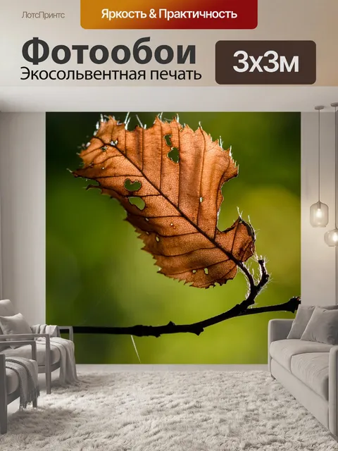 Фотообои Лист