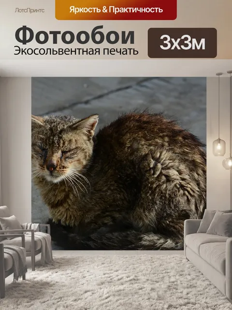 Фотообои Кошка