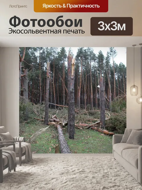 Фотообои Дерево