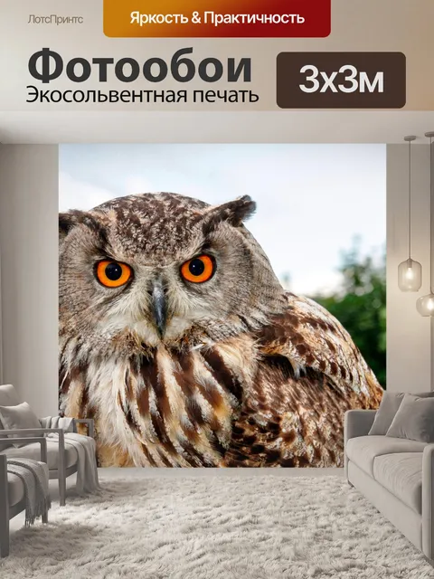 Фотообои Хищные птицы
