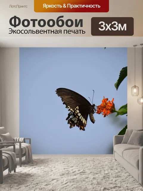 Фотообои Бабочка