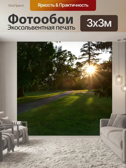 Фотообои Лес
