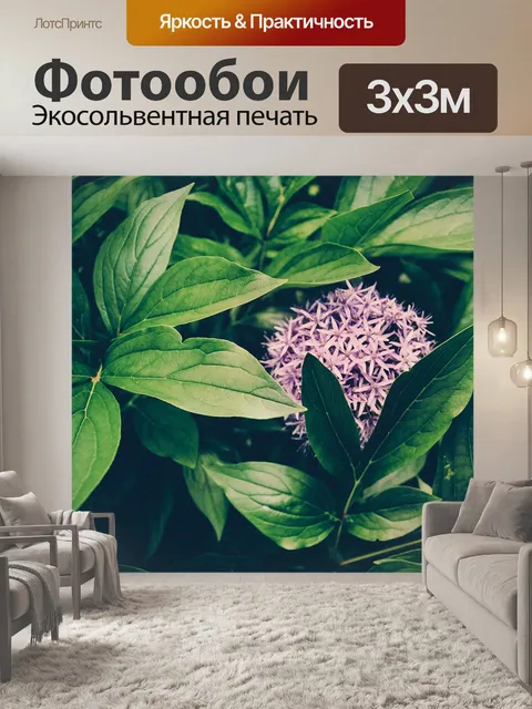 Фотообои Лист