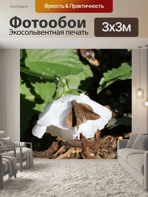 Фотообои Duskywing Skipper on Pansy