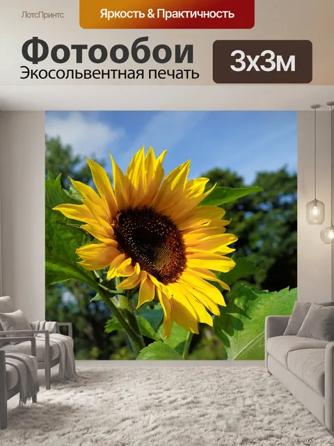 Фотообои Сад