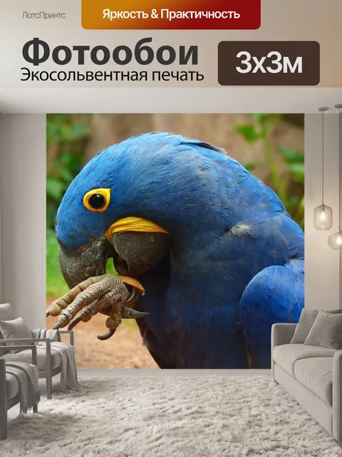 Фотообои Синие ара