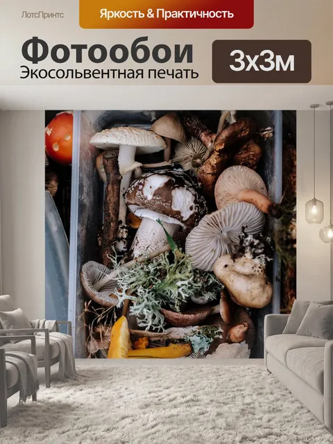 Фотообои Гриб