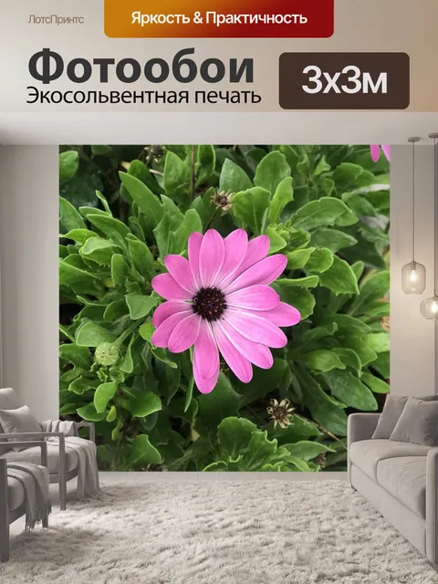 Фотообои Цветы