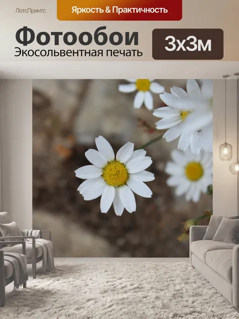 Фотообои Цветок