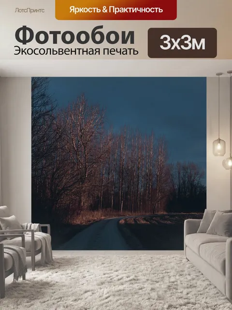 Фотообои Дорога