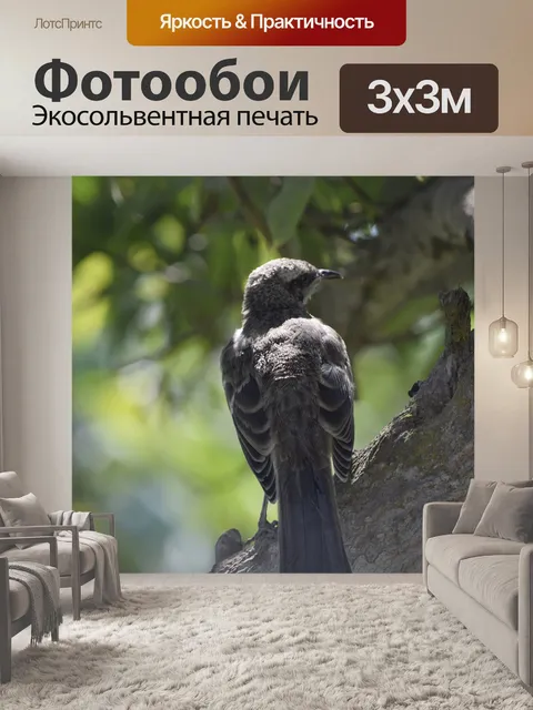 Фотообои Природа