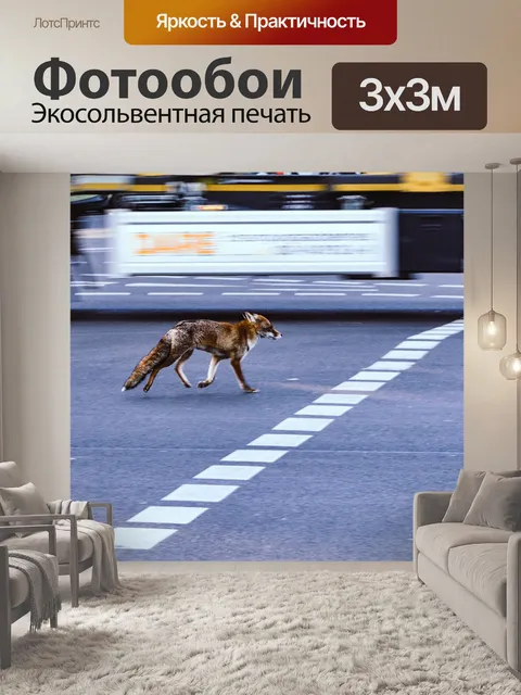 Фотообои Лиса