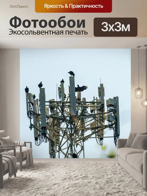 Фотообои Птицы