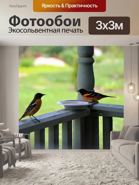 Фотообои Птицы