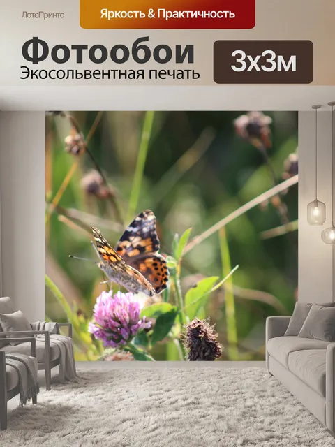Фотообои Поля