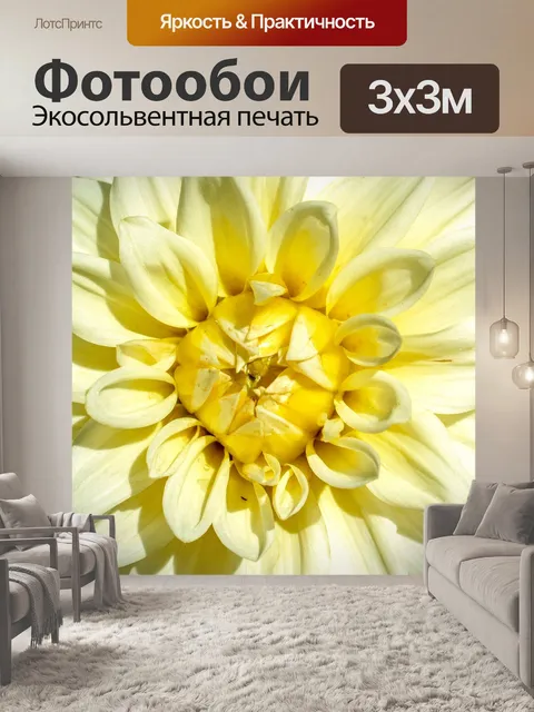 Фотообои цветник