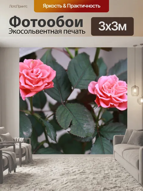 Фотообои Розы