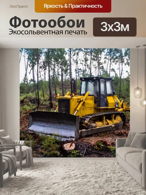 Фотообои Лесной массив