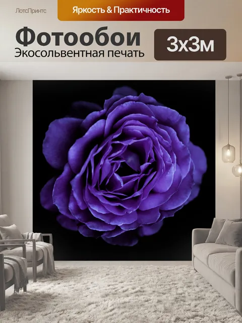 Фотообои Цветок розы фотоискусство