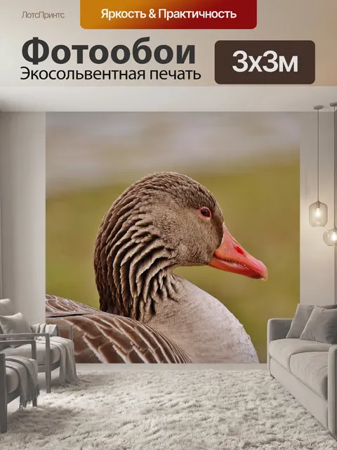 Фотообои Гусь