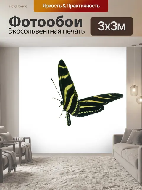 Фотообои Бабочка