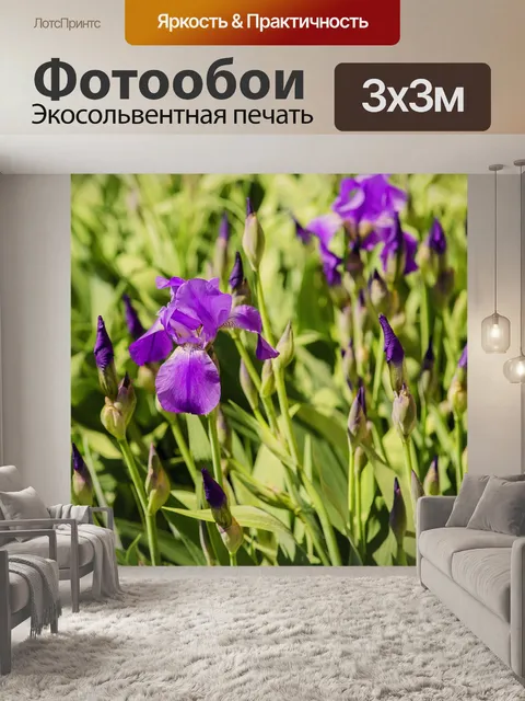 Фотообои Цветы