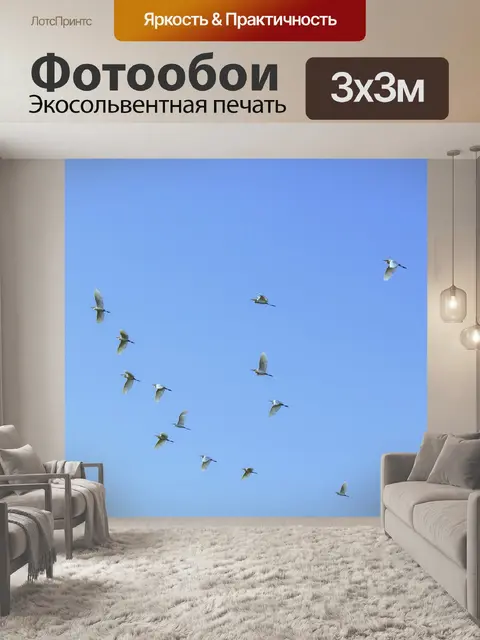 Фотообои Птицы в полете