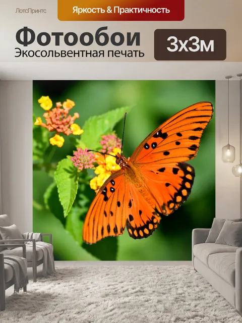 Фотообои Яркая фруктовая бабочка