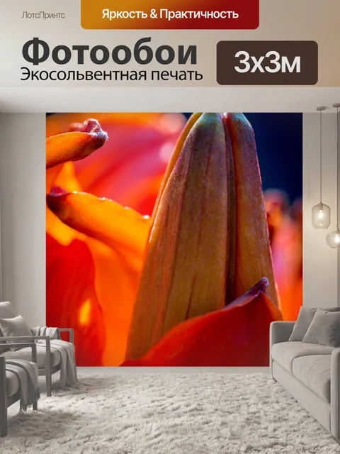 Фотообои Огненная лилия
