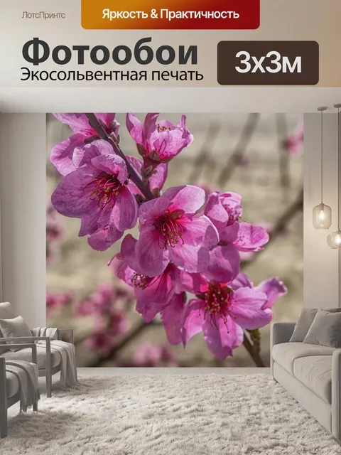 Фотообои Персиковое дерево цветок