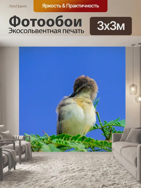 Фотообои Желтовато-коричневый