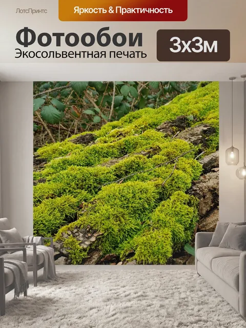 Фотообои Мох