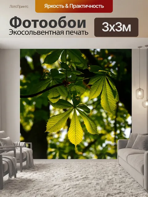Фотообои Лист