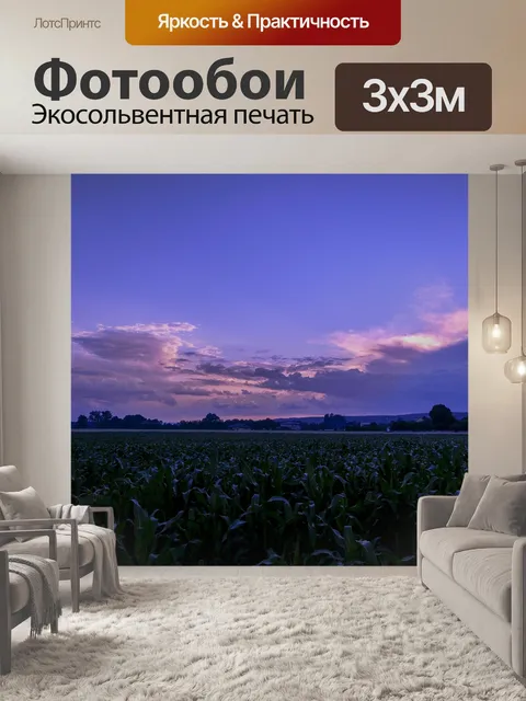 Фотообои Закат