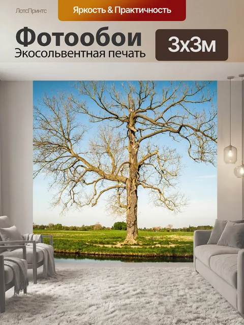 Фотообои Дерево
